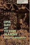 One day at Teton Marsh