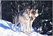 Grey Wolf Duo 1000pc Jigsaw Puzzle