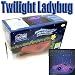 Twilight Ladybug Constellation Nightlight