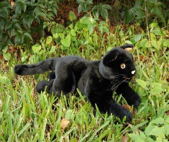 Childrens Toyshop  Toys : Cat (black) 18in Animal Puppet (P8076T)