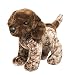 Douglas Small Ivan German Pointer 10