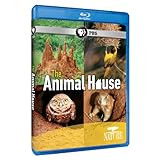Image de Nature: The Animal House [Blu-ray]