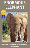 Enormous Elephant - Indoor Explorer Picture Book (Certified Silly)