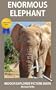 Enormous Elephant - Indoor Explorer Picture Book (Certified Silly)