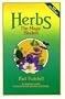 Herbs: The Magic Healers