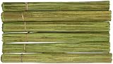 Placemats Banana Leaf 17x14 Inches Set of 6 Gift Set Three Colors By Back From Bali