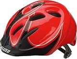 SPECIALIZED(スペシャライズド) SMALL FRY(チャイルド子供サイズ) RED-FRAME SPECIALIZED(スペシャライズド) SMALL FRY(チャイルド子供サイズ) RED-FRAME