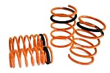 Megan Racing Lowering Springs Acura RSX Base/Type S 02-04