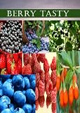 51USLZ74jyL. SL160  Berry Tasty   Acai, Maqui, Goji, Blueberry,Strawberry,Bilberry,Blackberry Health Benefits You Need to Know
