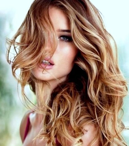 Imagen 4 de Vanessa Grey Hair Designs 0