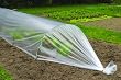 Apollo Film Grow Tunnel Kit
