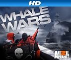 play video on Amazon Instant Video
