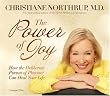 The Power Of Joy: How The Deliberate Pursuit Of Pleasure Can Heal Your Life