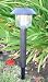Set of 2 Solar Powered Garden Light