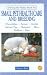 Small Pet Health Care and Breeding (Owning the Perfect Small Pet)