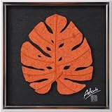 �s�a���A�[�g�t���[���tMONSTERA(�����X�e��)/DAIDAI�@L�k�a���̘V�ܐ쓇�l