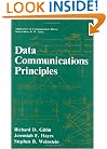 Data Communications Principles (Applications of Communications Theory)