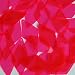 Long Sequin Diamond 1.75 inch Pink Fluorescent Transparent See Thru Couture Loose Paillettes Made in USA.