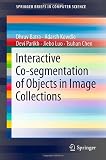 Interactive Co-segmentation of Objects in Image Collections (SpringerBriefs in Computer Science)