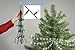Collegiate Color Hookstrand Christmas Lights : Blue & White
