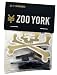 Zoo York 1" Allen Bolts - Black/Gold