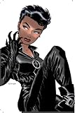 Image of Catwoman Vol. 1: Trail of the Catwoman