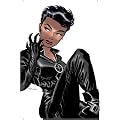 Catwoman Vol. 1: Trail of the Catwoman