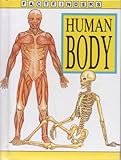 Human body