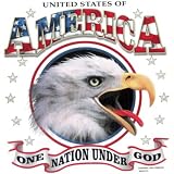 Youth Hoody (Hooded Sweatshirt) : United States of America - One Nation Under God - Patriotic Eagle