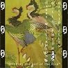 Image of album by Daevid Allen