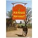 Pub Walks in the New Forest