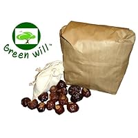 Greenwill Soapberry / Soapnut -- 1 Pound -- With Complimentary Durable Drawstring Cotton Wash Bag