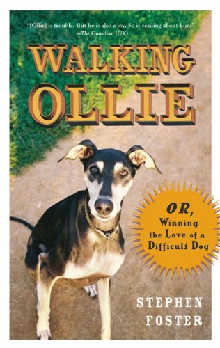 walking ollie or winning the love of a difficult dog