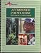 Books : A Companion for Your Way The Small Catechism (New Journeys Series)