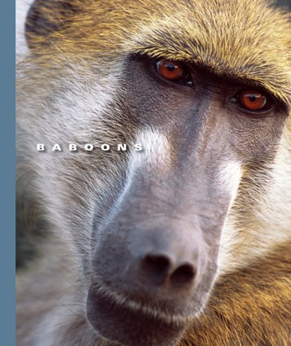 Baboons (The World of Mammals)
