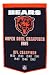 Sporting Goods : CHICAGO BEARS FOOTBALL WOOL CHAMPIONSHIP BANNER! COOL!