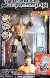 from Jakks WWE Deluxe Aggression 14 RANDY ORTON