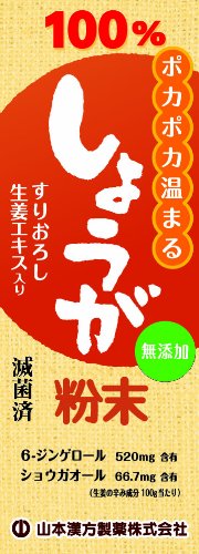 しょうが粉末 25g