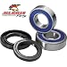 2009-2010 Kawasaki ER-6N Motorcycle Front Wheel Bearing and Seal Kit