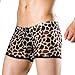 Dominik Men's Leopard Sheer Mesh Boxer Trunks