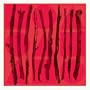 I Am the Arm (Cd)
