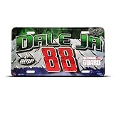 Dale Jr Nascar 88 Novelty Airbrushed Metal License Plate Sign Tag
