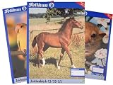 Eigenschaften Pelikan 224840 / Pelikan 224840 - Zeichenblock DIN A3 20 Blatt 100gr