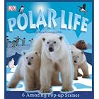 Polar Life (Dk Pop Ups) by DK Publishing