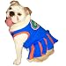 Pets First NCAA University of Florida Gators Cheerleader Dog Outfit