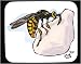 Decorated Mouse Pad with insect, sugar, wasp, yellow, jacket