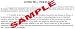 Living Will - Digitial Download by Sublet Org