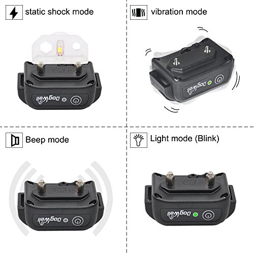 dogwell training collar