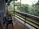 Decks in Forest, Las Cruces Biological Station, Wilson Botanical Gardens, San Vito, Costa Rica Photographic Poster Print