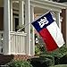 Rice Owls Texas State Flag